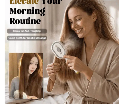 Electric Steam Brush with Water Spray