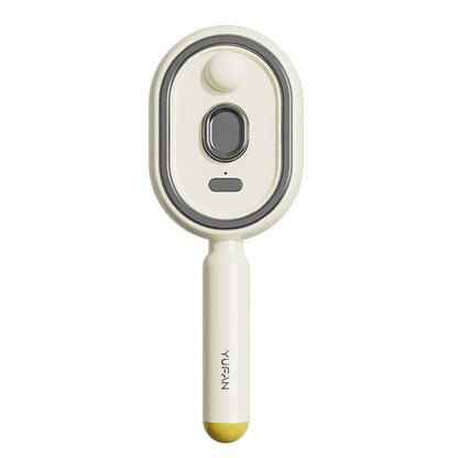 Electric Steam Brush with Water Spray