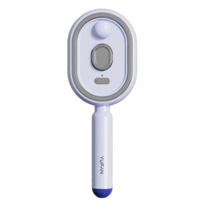 Electric Steam Brush with Water Spray